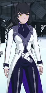 Blake's outfit for volumes 7 and 8