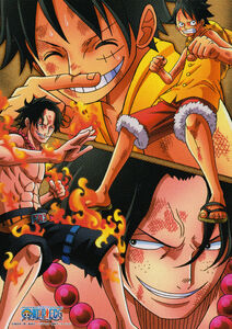 One Piece D. Brothers