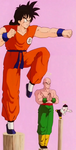 The Z-Fighters training on King Kai's planet.