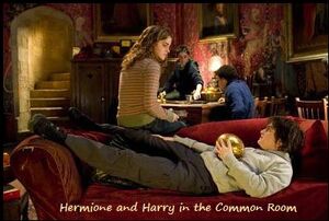 Harry in the Common Room with Hermione, holding the egg.