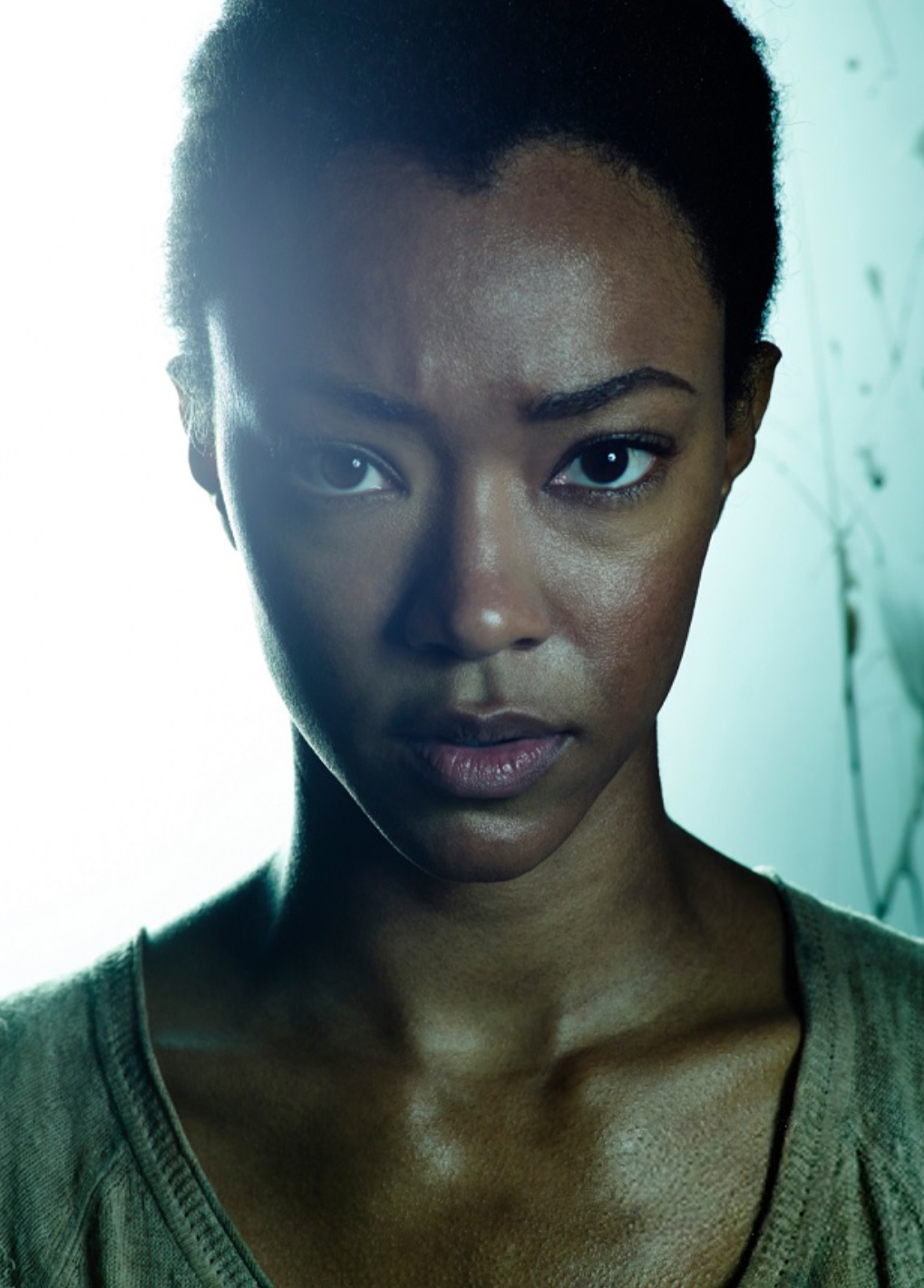 Sasha Williams.