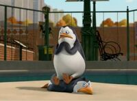 Private-sitting-on-Rico-penguins-of-madagascar-13792003-606-447