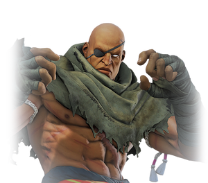 Sagat in Street Fighter V.