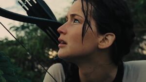 Catching Fire Katniss looking up