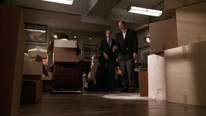 Odie being tortured with a shock collar by Happy Chapman