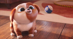 Secretlifeofpets2-animationscreencaps.com-5120