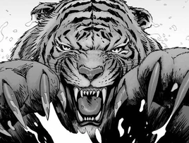 Comic Series