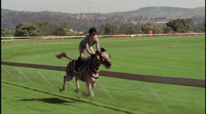 Channing riding Stripes in his first race