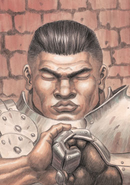 Exploring the Hawks and Other Characters of Berserk 