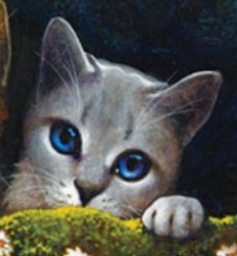 Shero (Bad Cat), Heroes Wiki