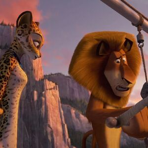 pics Alex E Gia alex e gia madagascar 3 europe s most