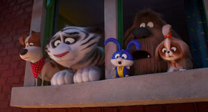 Secretlifeofpets2-animationscreencaps.com-7592