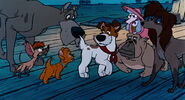 Oliver, Dodger, Georgette, Rita, Francis, Einstein, and Tito heading to Jenny's rescue.