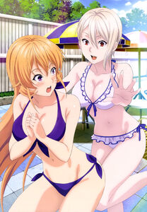 Yande.re 326789 bikini cleavage nakiri alice nakiri erina shokugeki no soma swimsuits