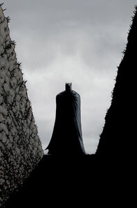 Batman Incorporated Vol 2 9 Textless
