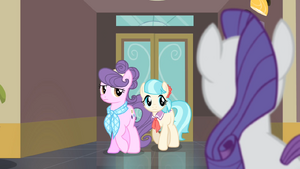 Rarity sees Suri and Coco S4E08