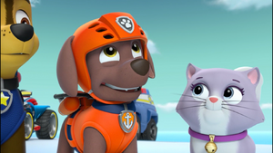 Le 16h Café - ⚓⚓⚓ ZUMA de la PAW Patrol pour les 3 ans de