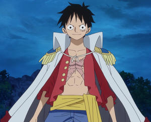 Luffy with a Marine coat during the Marine Rookie Arc.