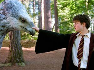 Harry petting Buckbeak.