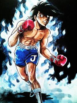Boxer