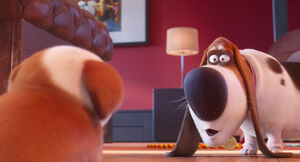 Secretlifeofpets2-animationscreencaps.com-5020