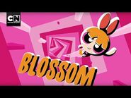 The Powerpuff Girls - Blossom - Cartoon Network