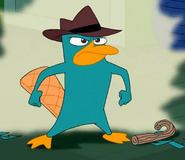 Perry!