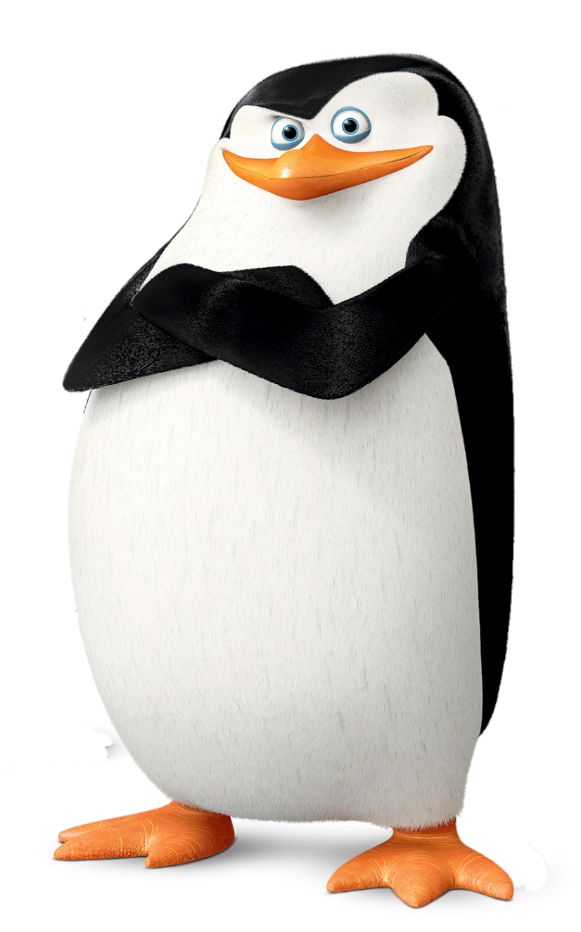 The penguins of madagascar skipper deals