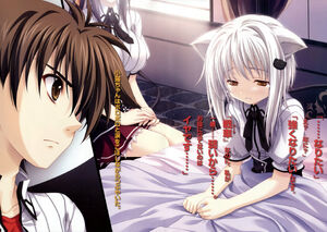 Koneko Toujou/LN & Manga Gallery, High School DxD Wiki