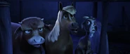 Star-stableanimals.png (374 KB)