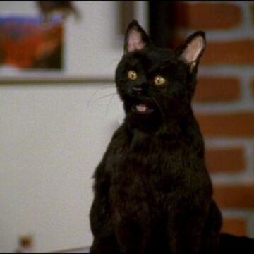 Salem Saberhagen Sitcom Heroes Wiki Fandom Is plagg actuallly salem saberhagen? salem saberhagen sitcom heroes wiki