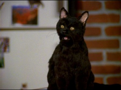 Salem Saberhagen - Wikipedia