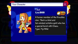 Tikal in the game Sonic Runners.