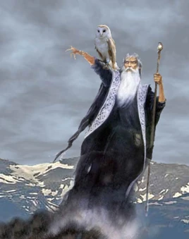 Merlin-the-wizard