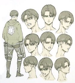 Levi Ackerman Heroes Wiki Fandom