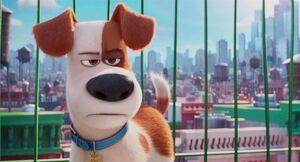 Secret-life-pets-disneyscreencaps.com-1634