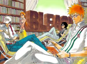 47344 bleach-ichigo-rukia-renji