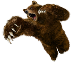 Kuma in Tekken 6: Bloodline Rebellion