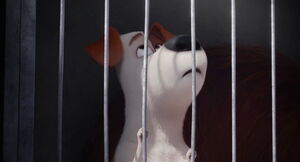 Secret-life-pets-disneyscreencaps.com-2623