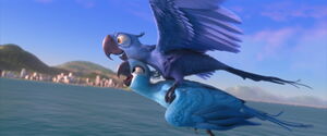 "Blu, you're FLYING!"