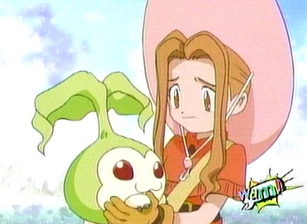 Mimi Tachikawa, Digimon Adventure Wiki