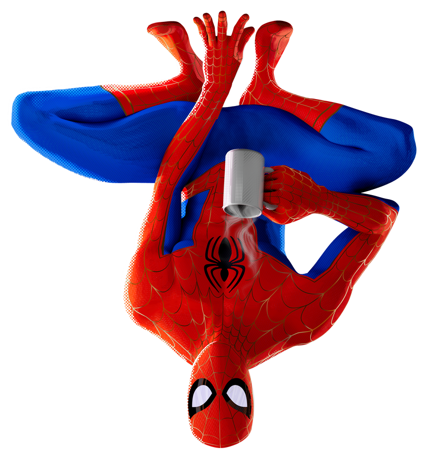 Peter Parker Spider Man Into The Spider Verse Heroes Wiki Fandom