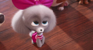 Secretlifeofpets2-animationscreencaps.com-4958