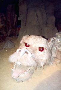 The second Falkor 1989