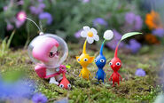 Brittany Plucking Pikmin