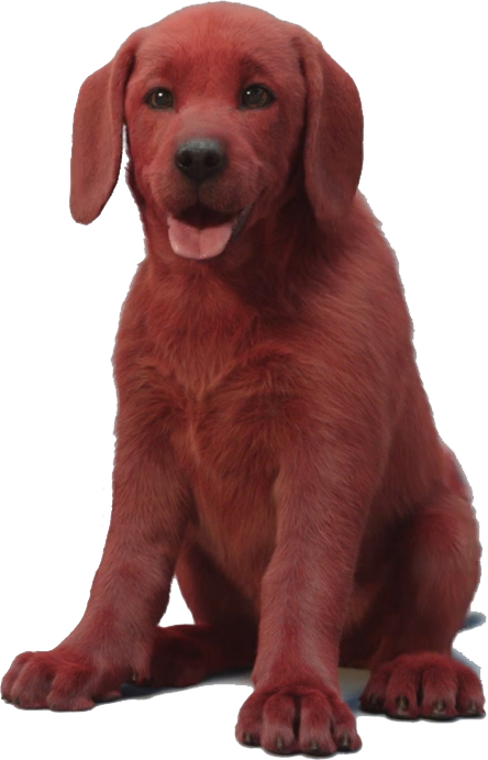 is clifford a vizsla