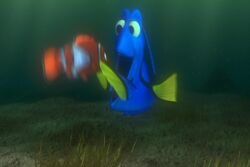 "NEMO! IT'S YOU AAH! YOU'RE NEMO!!"