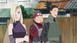 Team 8 in the Last