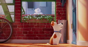 Secret-life-pets-disneyscreencaps.com-423