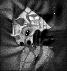 Artwork created by an Ortothan depicting some extraterrestrial creature.